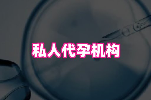 哈尔滨助孕网 2