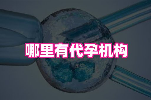 哈尔滨助孕网 3