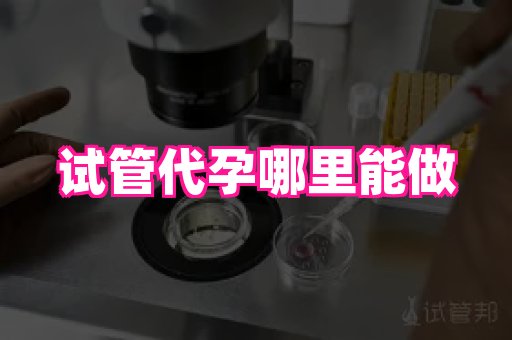 哈尔滨助孕网 4